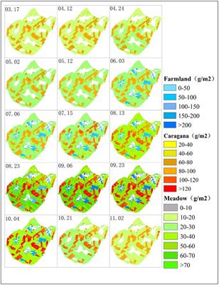 Sustainable application of GF-6 WFV satellite data in desert steppe: A village-scale grazing study in China